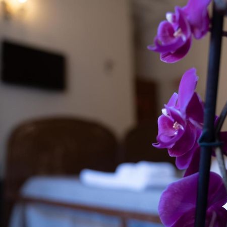 Citta Di Castello Rooms 외부 사진