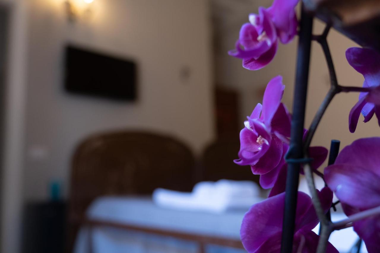 Citta Di Castello Rooms 외부 사진