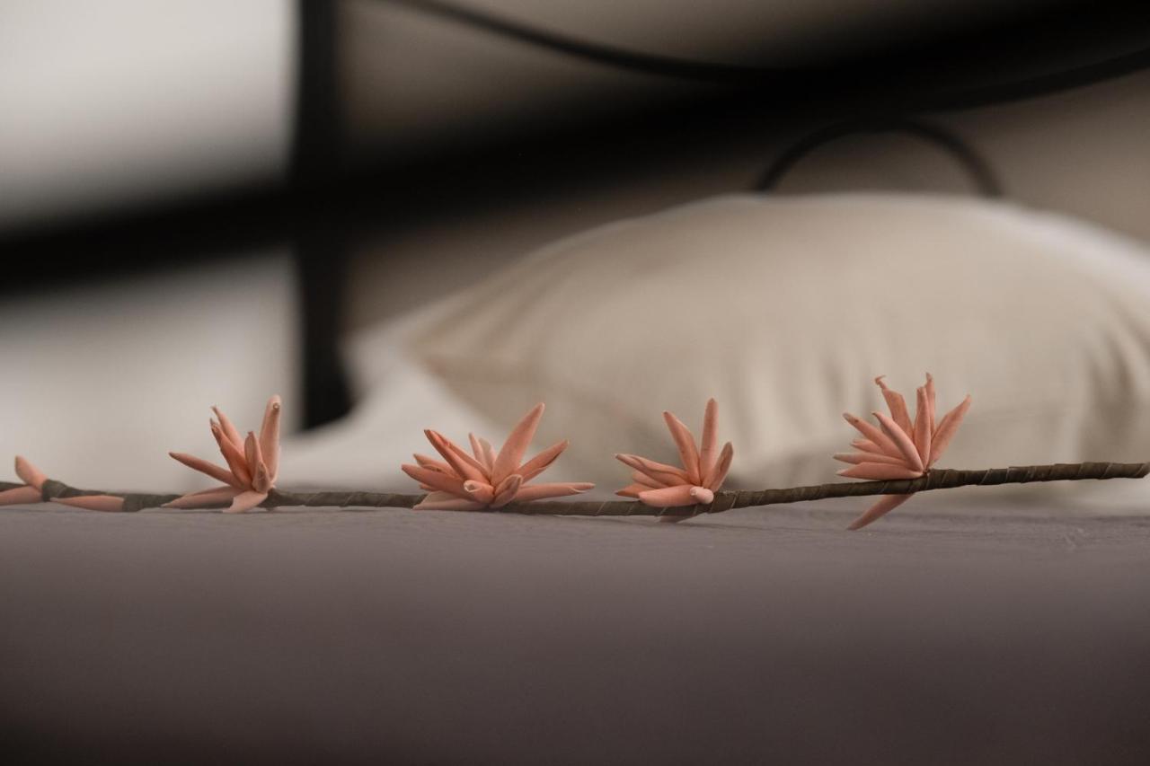 Citta Di Castello Rooms 외부 사진
